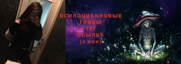 мяу мяу мука Магас